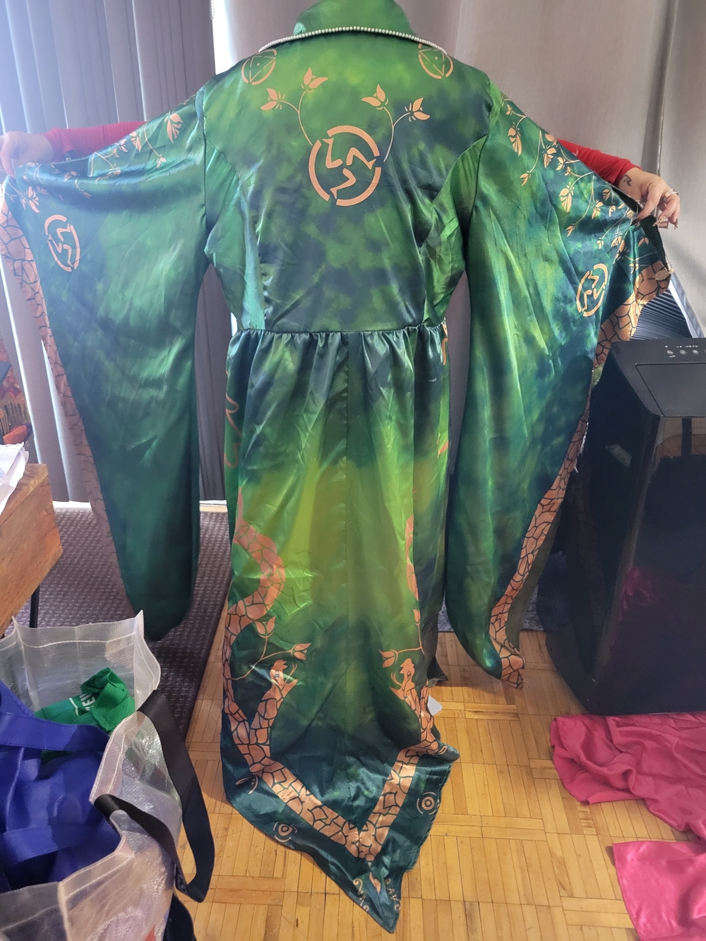 Hocus Pocus Costume - Picture 3 of 4